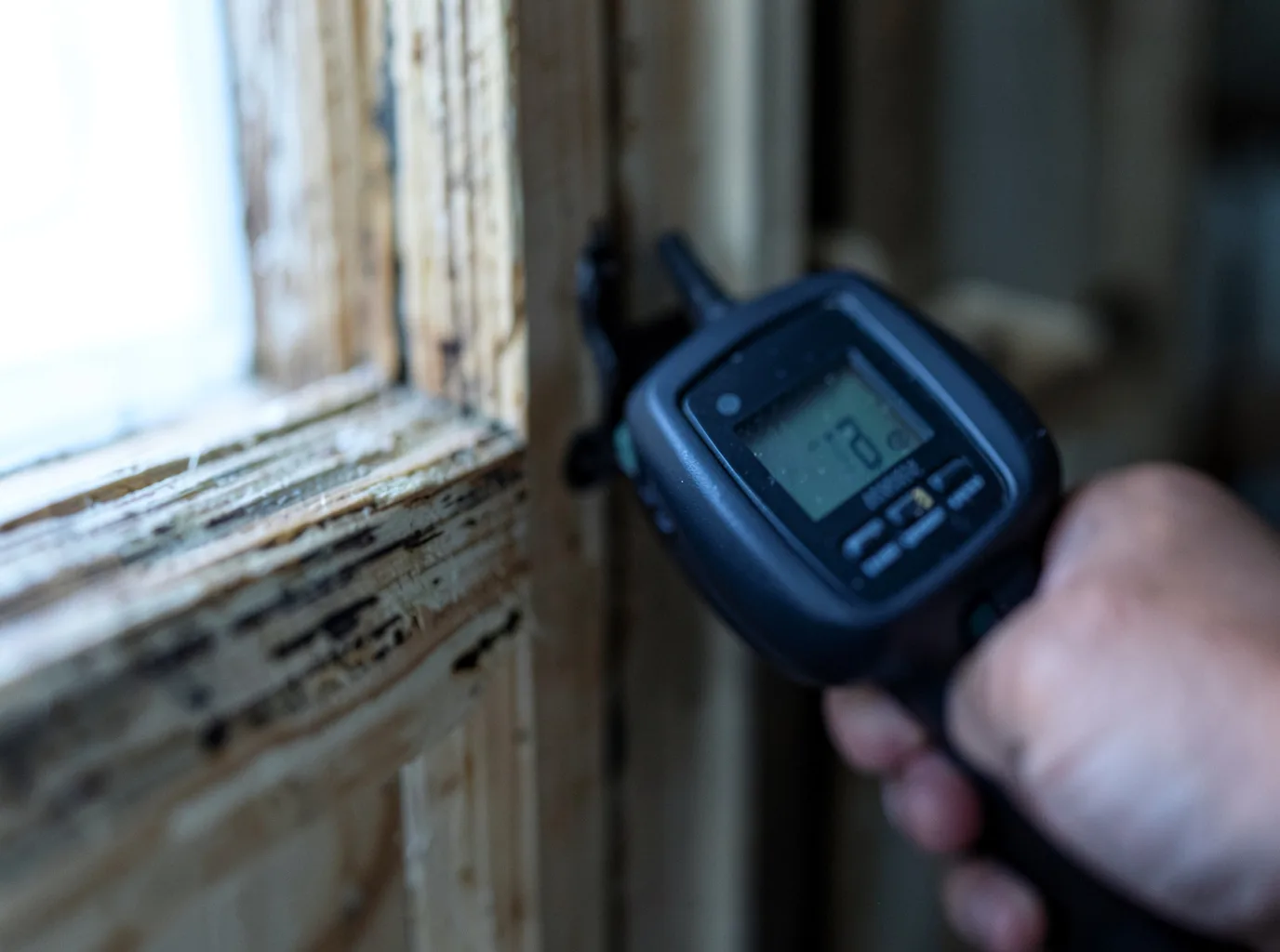 Moisture Inspection And Documentation in Templeton, IA